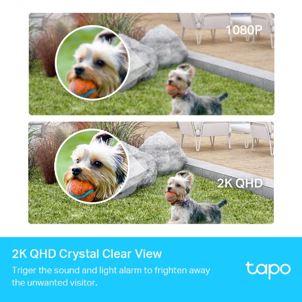 Tapo C420 smart Wire-Free Security Camera