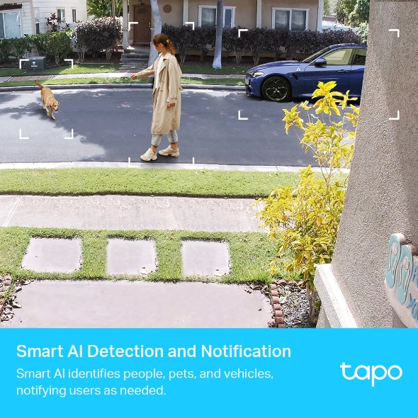 Tapo C420 smart Wire-Free Security Camera