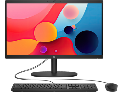 HP All-in-One Desktop 22-dg0010la (A82XTLA)